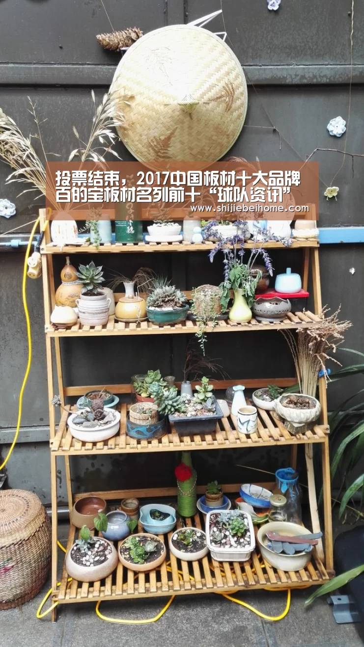 投票结束，2017中国板材十大品牌百的宝板材名列前十“球队资