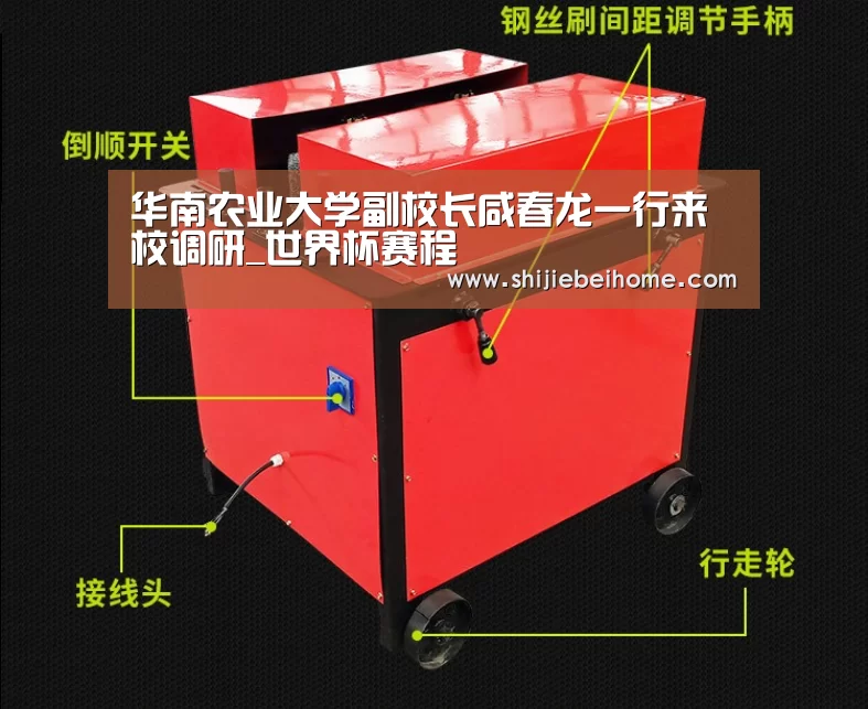 球队资讯