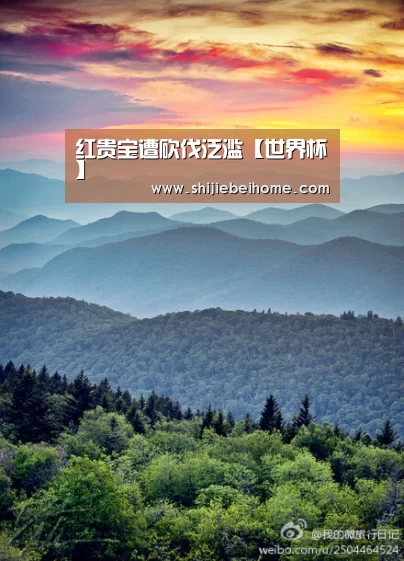 球队资讯