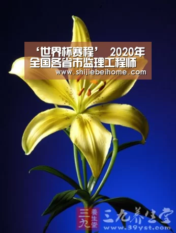 赛事新闻